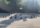 Izvidjacko ljetovanje Kiseljak-Cetvrti dan 15.07.2025