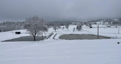 Bivak Ajdinovici 2025-2-dan